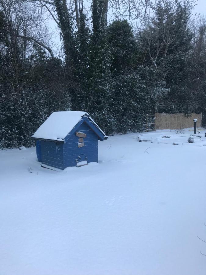 Log Cabin أرما المظهر الخارجي الصورة